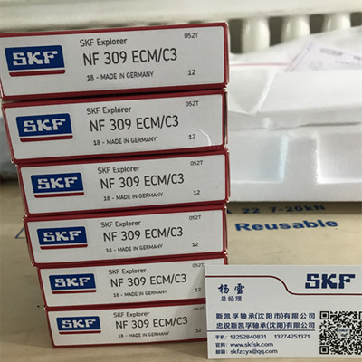 沈陽SKF軸承總代理銷售NF309ECM/C3