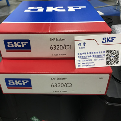 沈陽SKF軸承授權經銷商銷售6320C3