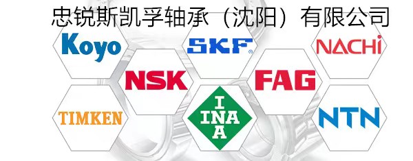 NSK軸承風力發電機系列-長春NSK軸承總代理